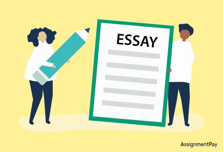 5 paragraph essay builder