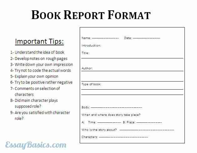 Write a book report
