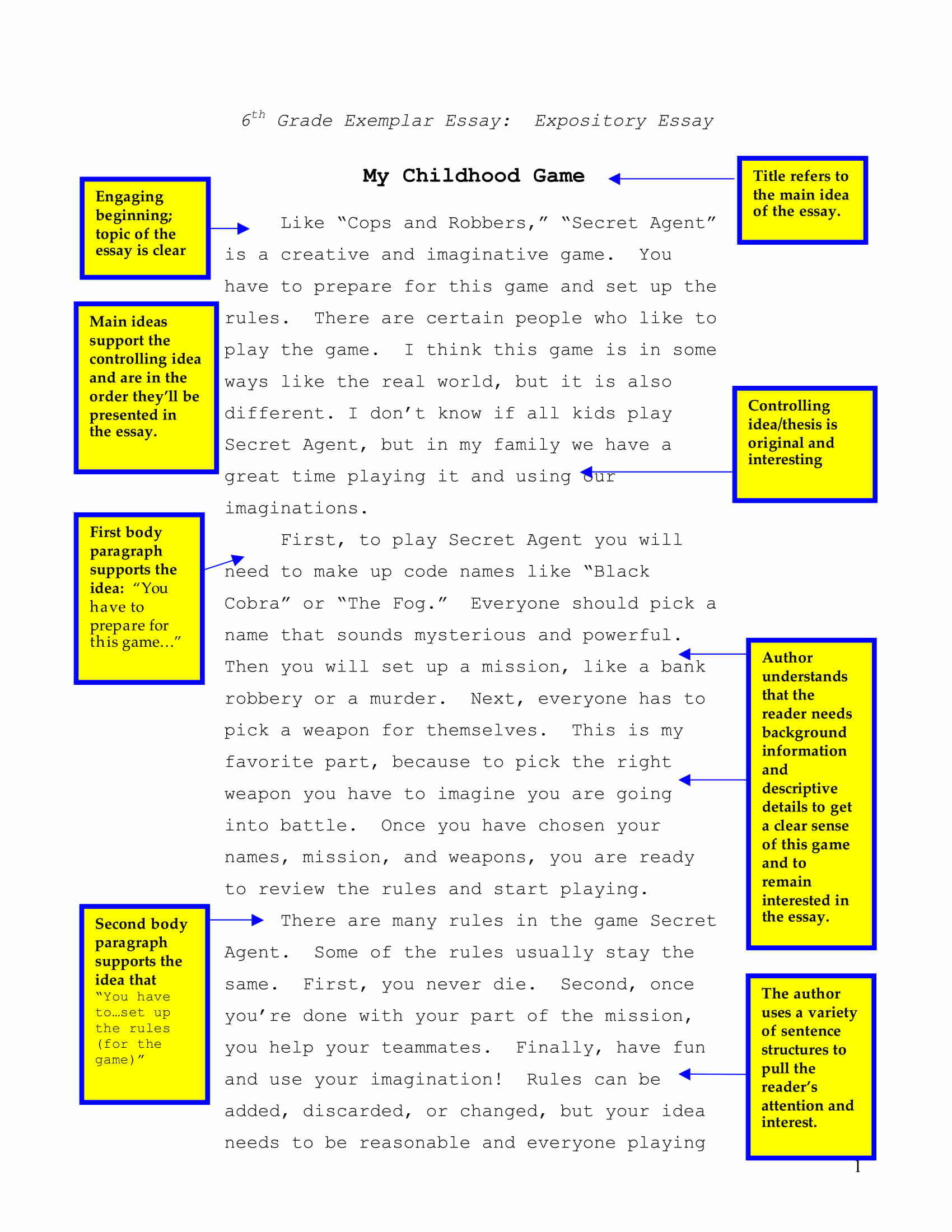 explanatory essay objectives