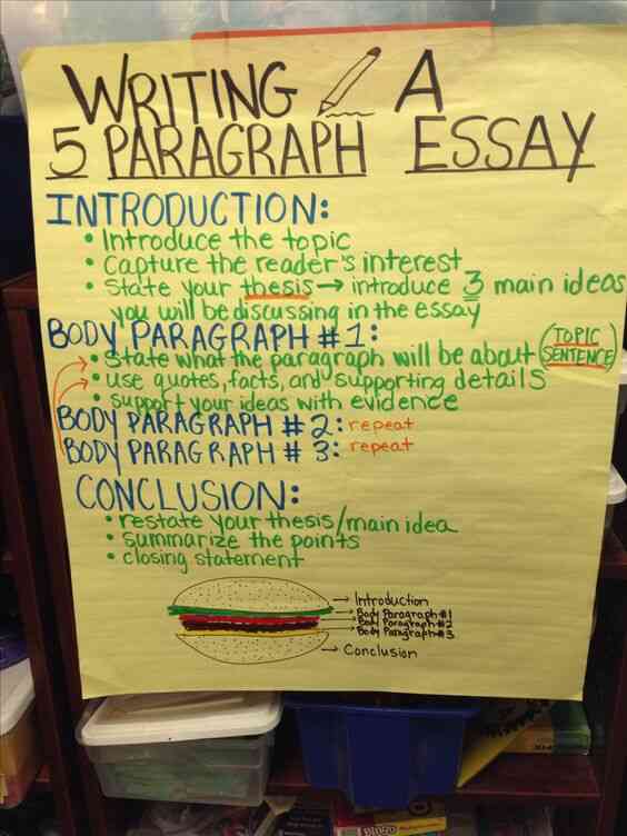 basics of a 5 paragraph essay